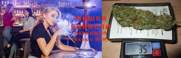 сатива Абинск