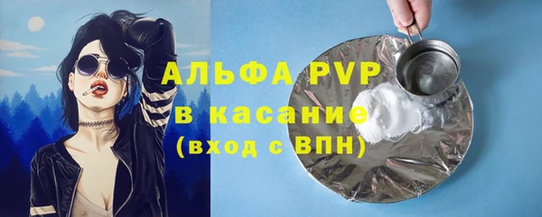 сатива Абинск