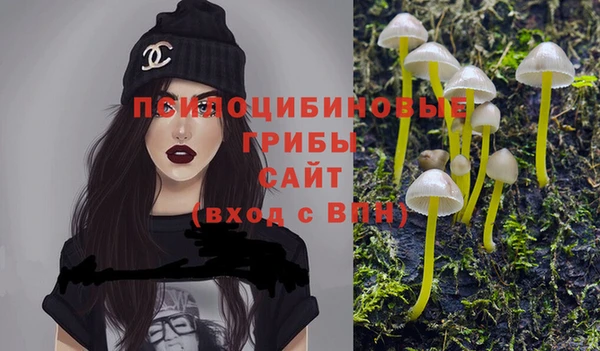 сатива Абинск