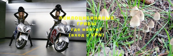 сатива Абинск