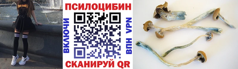 Галлюциногенные грибы Psilocybine cubensis  наркошоп  мориарти как зайти  Юхнов 